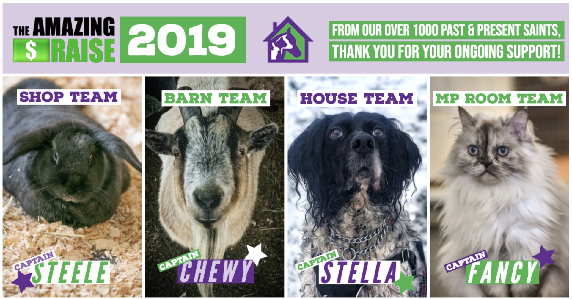 2019 the amazing raise