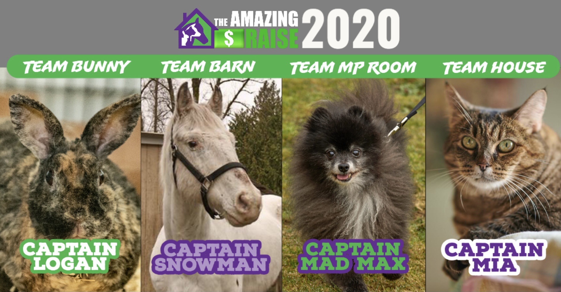 2020 the amazing raise