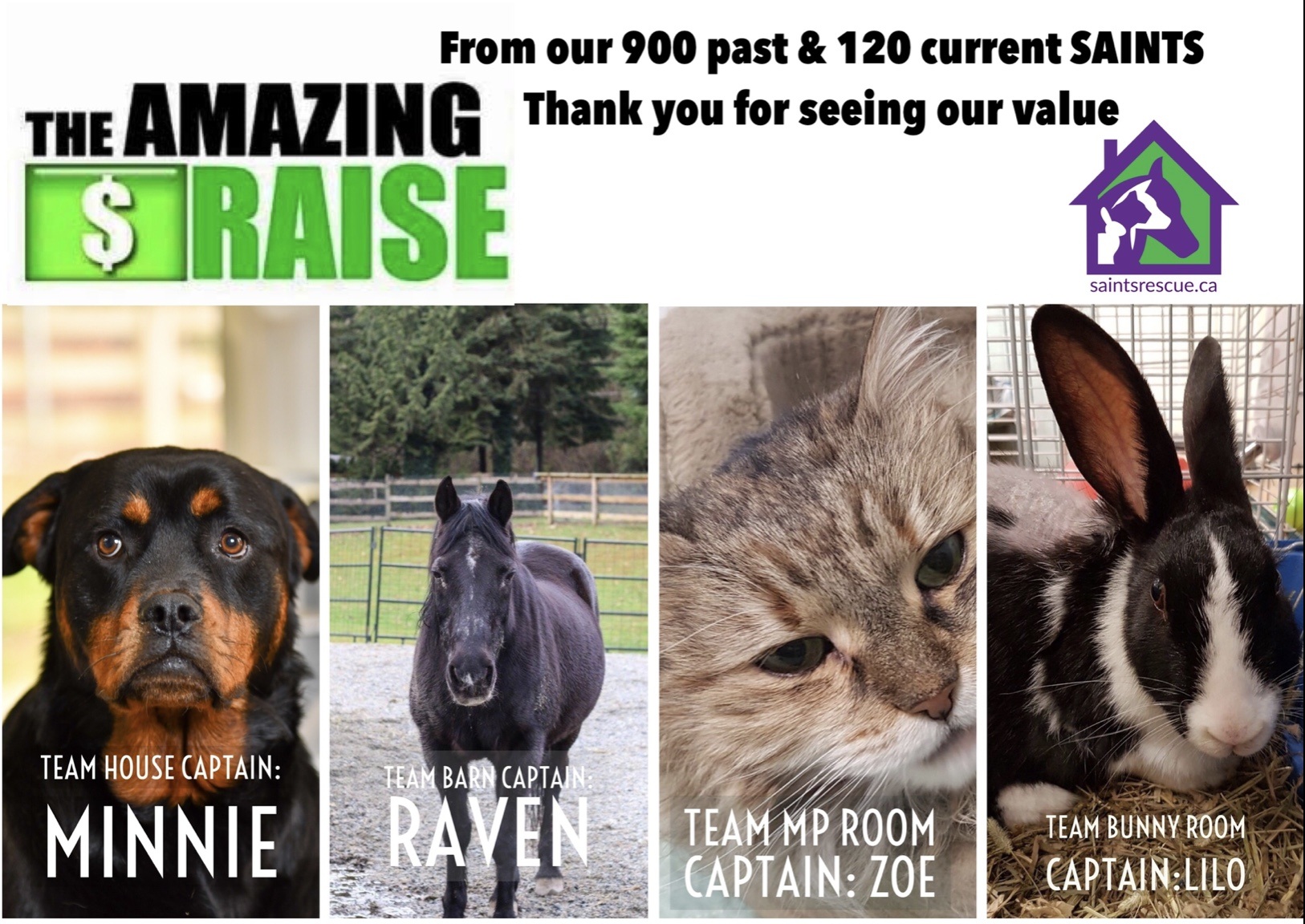 2018 the amazing raise