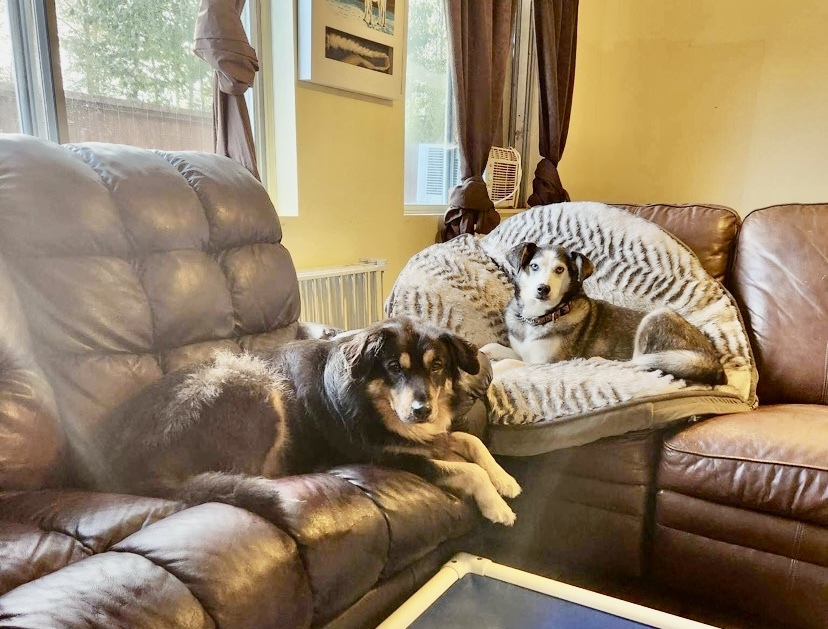 Hannah and Shyla
