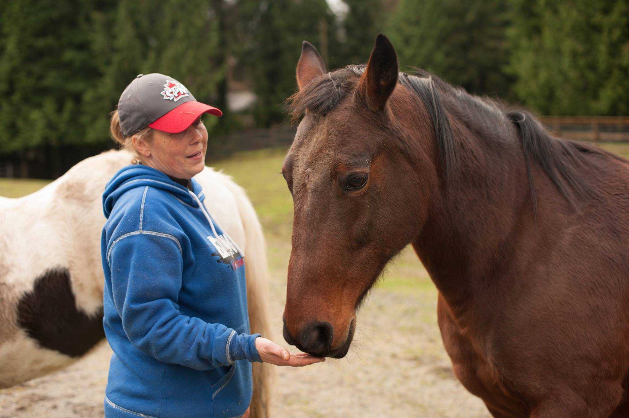 Dixe and Volunteer