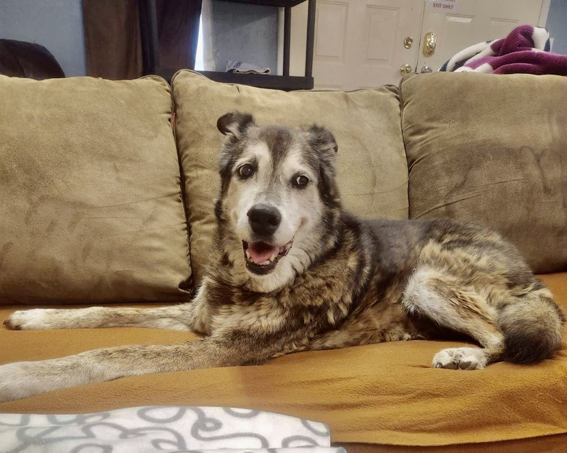 Ella