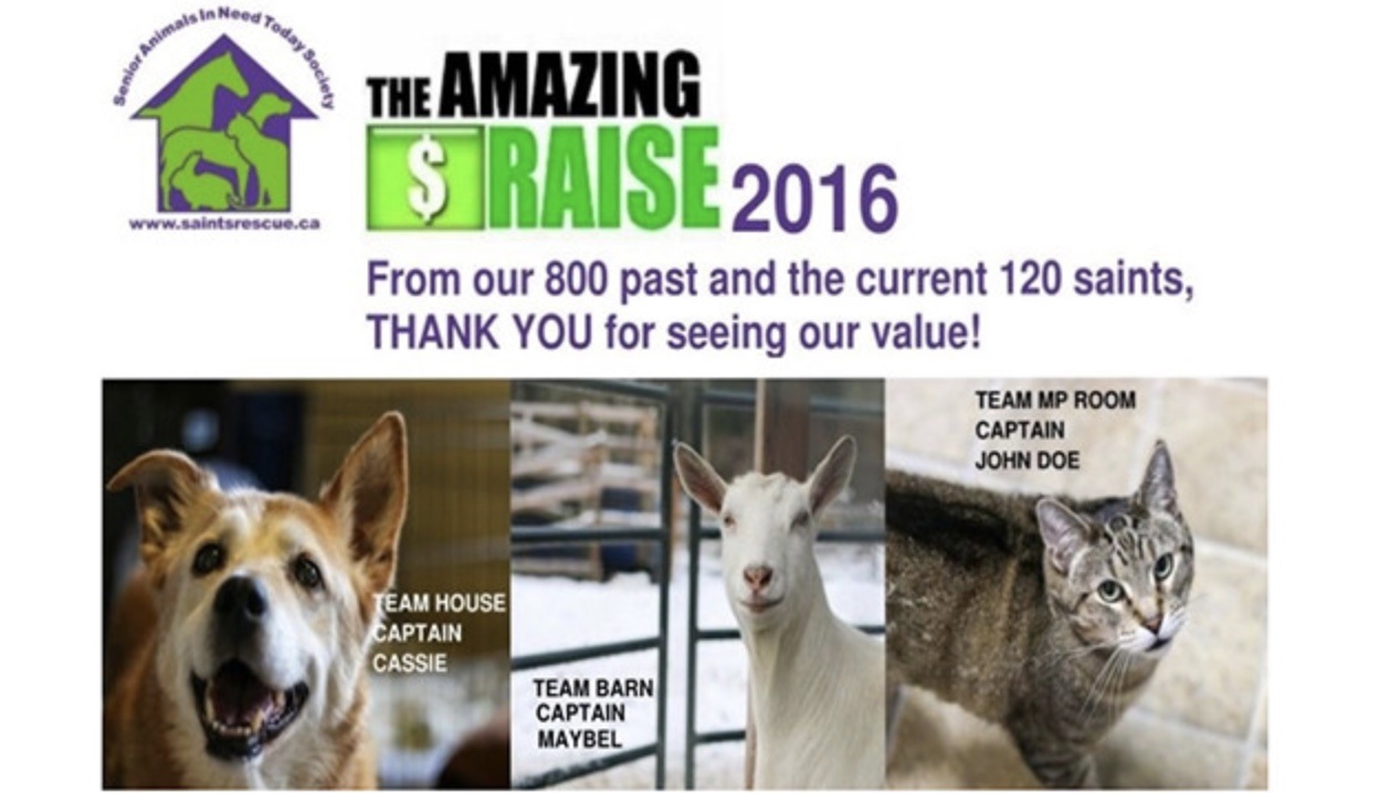 2016 the amazing raise