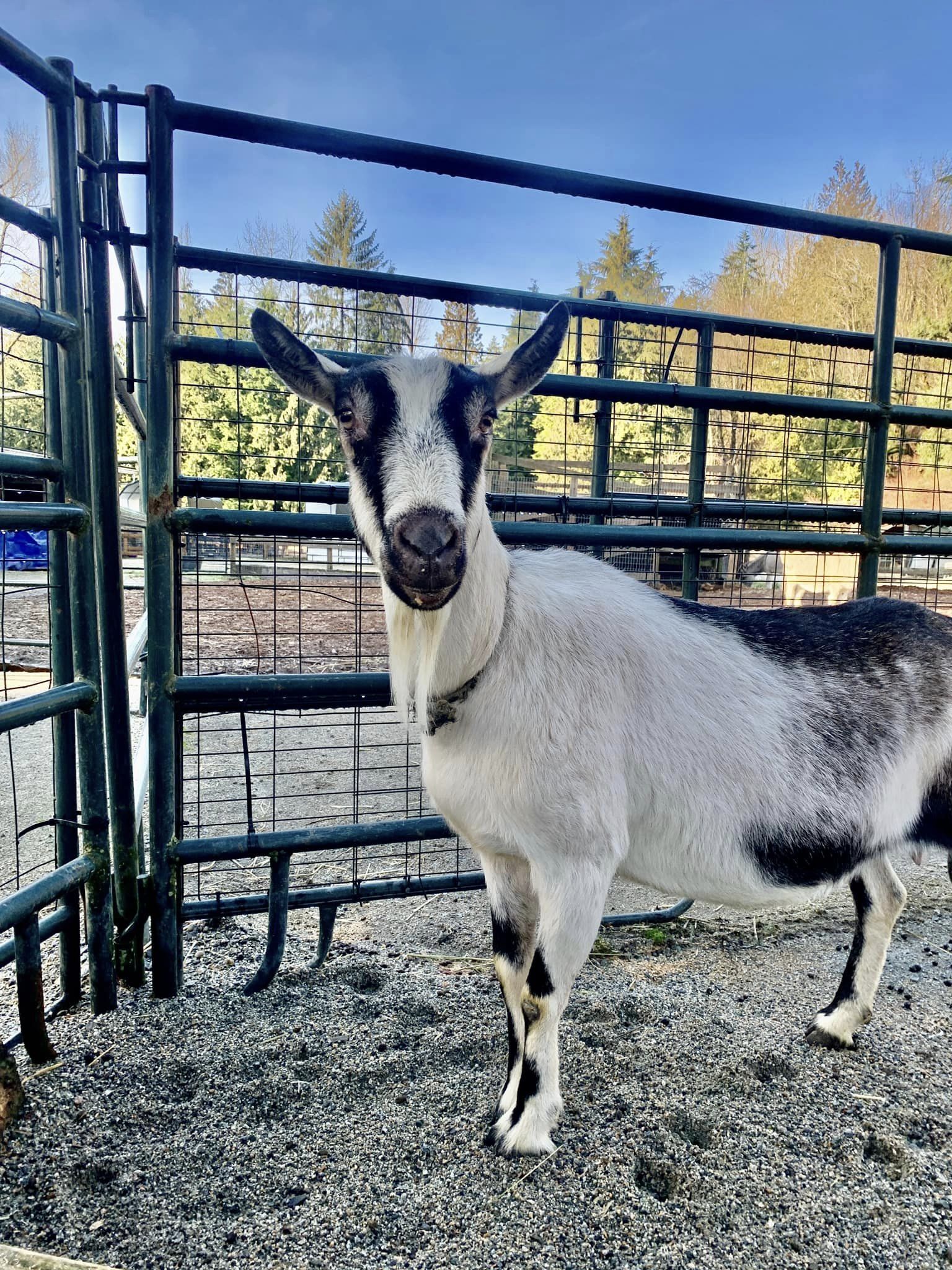 Rhonda